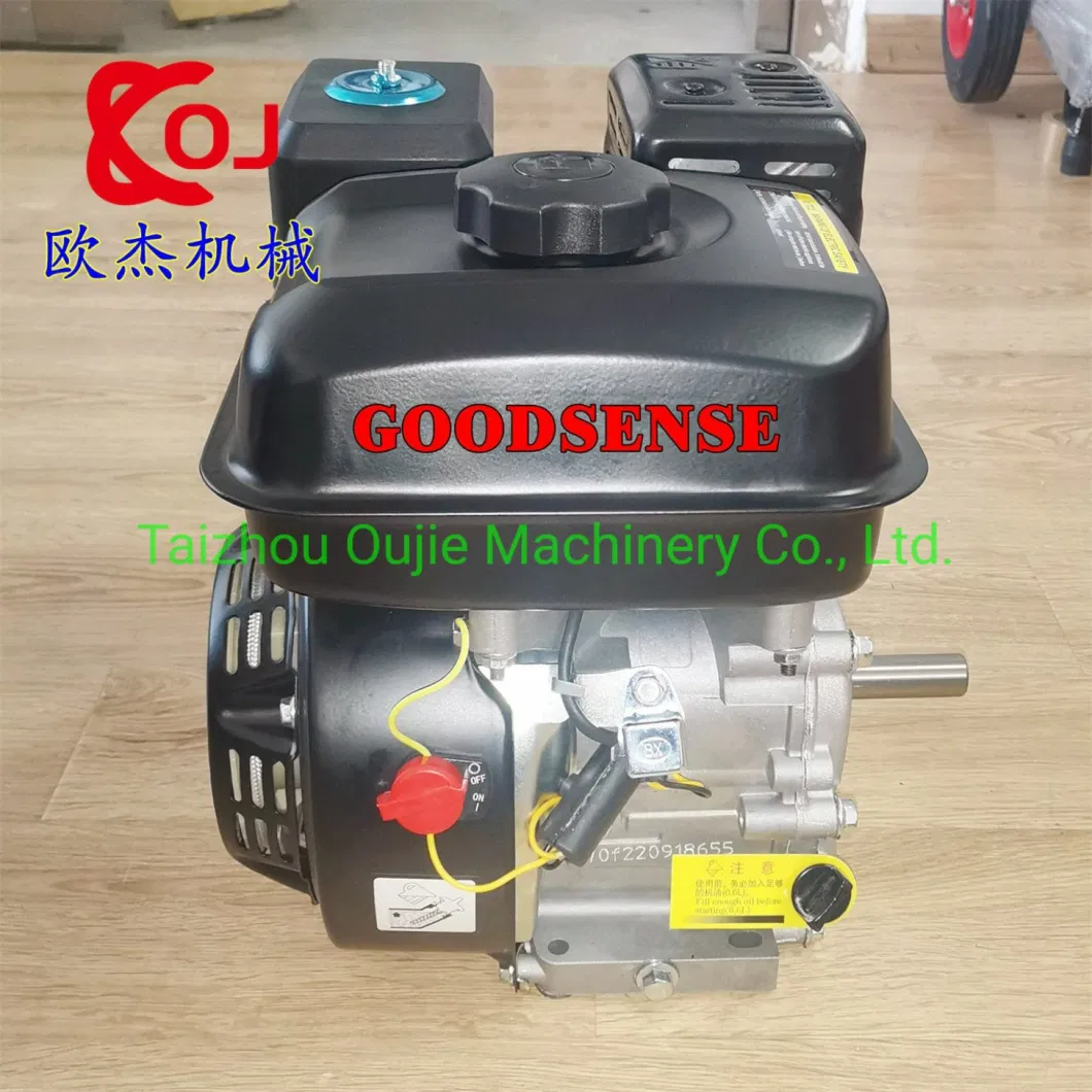 6.5HP Gx200 Gasoline Engine with Pulley Hot Selling