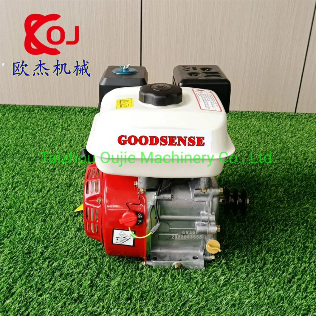 6.5HP Gx200 Gasoline Engine with Pulley Hot Selling